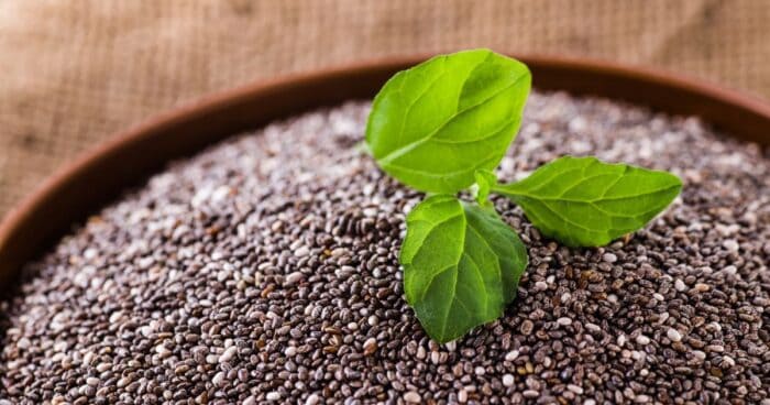 Chcete žiť zdravým životným štýlom? Potom vám vo vašom jedálničku nesmú chýbať chia semienka.