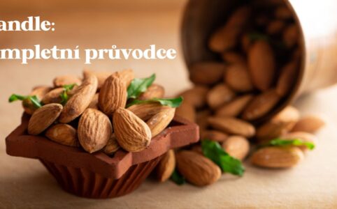 Vše o mandlích - loupané, neloupané, uzené, naturální mandle.