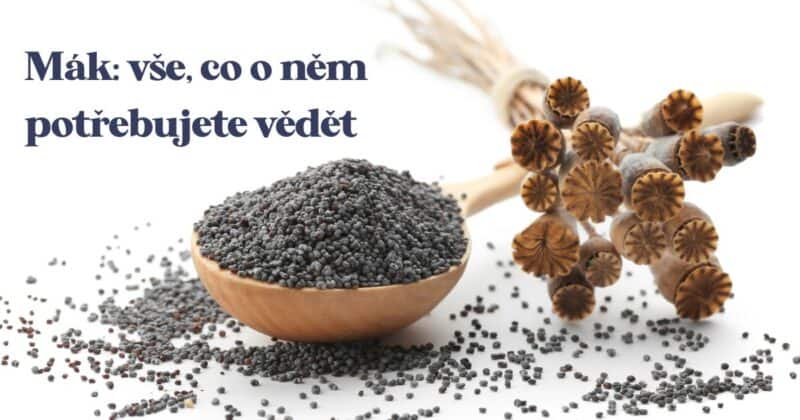 Chcete dělat makové buchty? Mák je nedílnou ingrediencí nejen u nich, ale i například u koláčů, muffinů a mnoha dalších dobrot. Přidává jim prostě ten správný šmrnc!