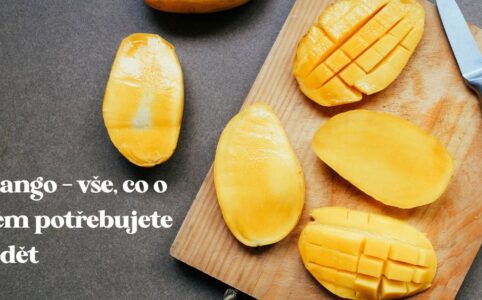 Nemáte doma čerstvé mango, ale dali byste si aspoň kousek? Zkuste sušené mango.