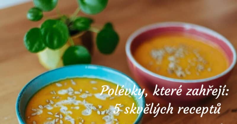 Polévky, které zahřejí: 5 skvělých receptů