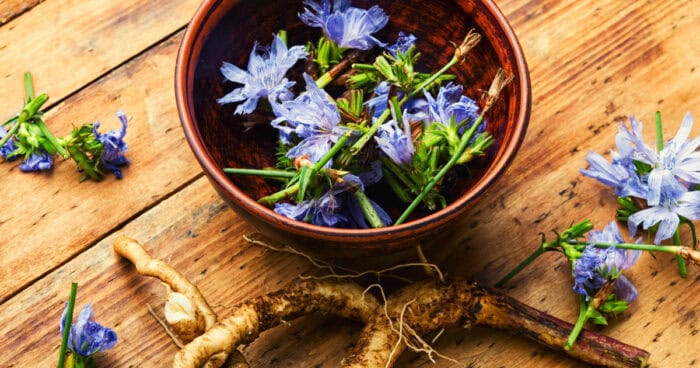 Z čoho sa vyrába čakankový sirup.