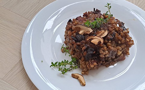 Zapečený hubový kubo.