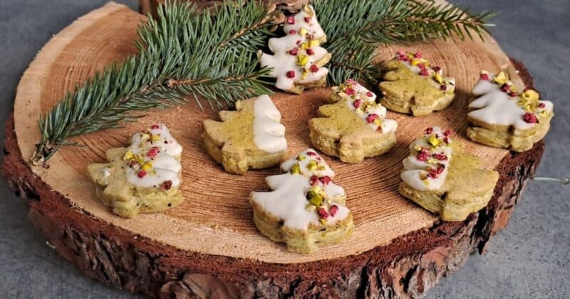 Najlepšie pistáciové stromčeky.