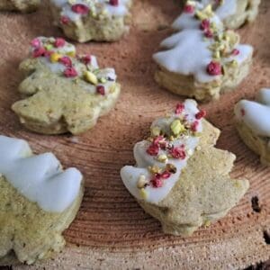 Najlepšie pistáciové stromčeky.