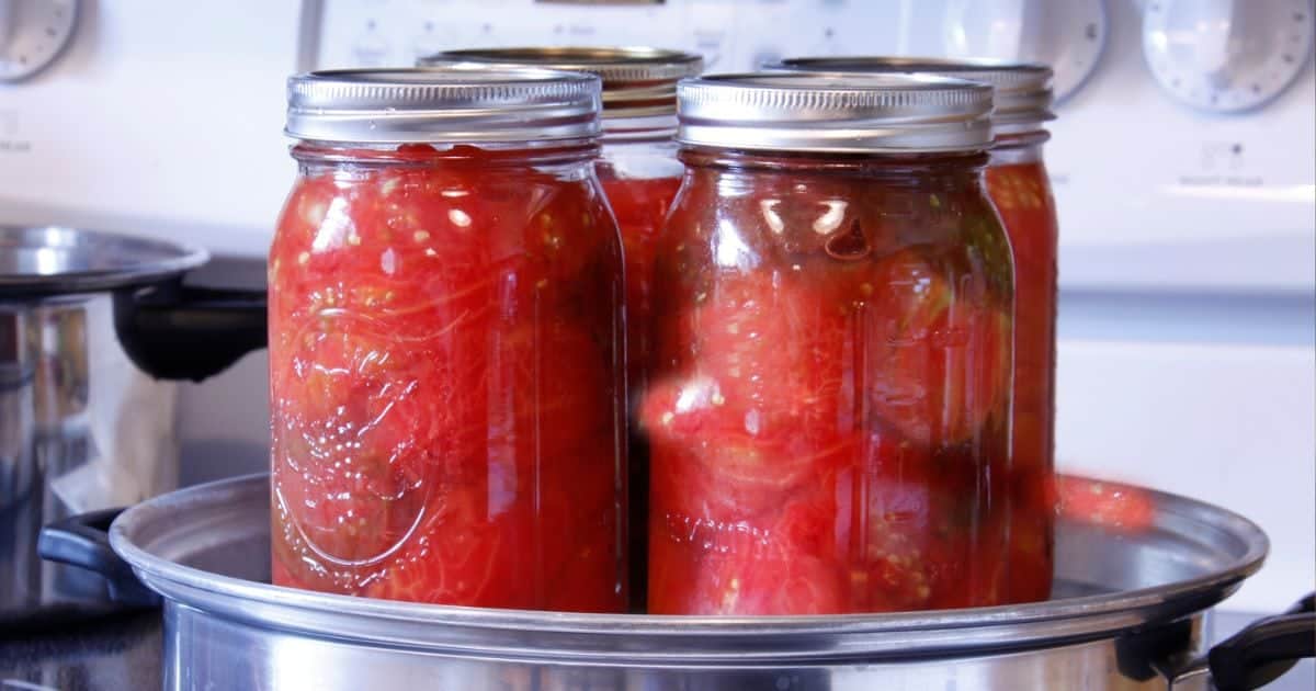 Zavařování v mikrovlnce