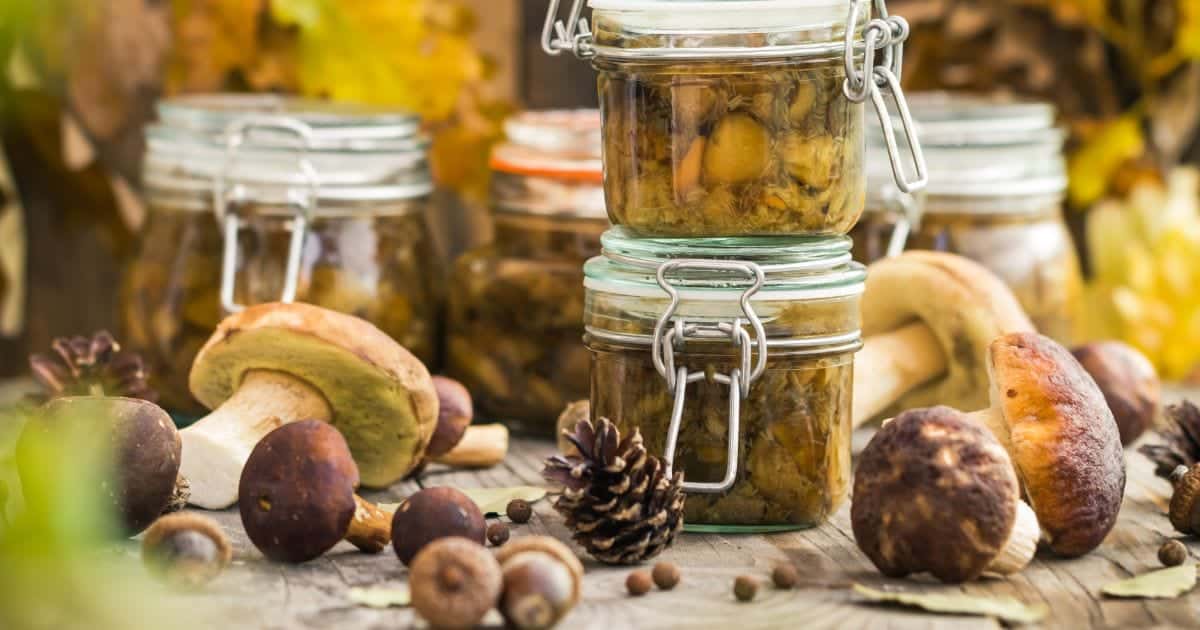 Zavařování hub v troubě