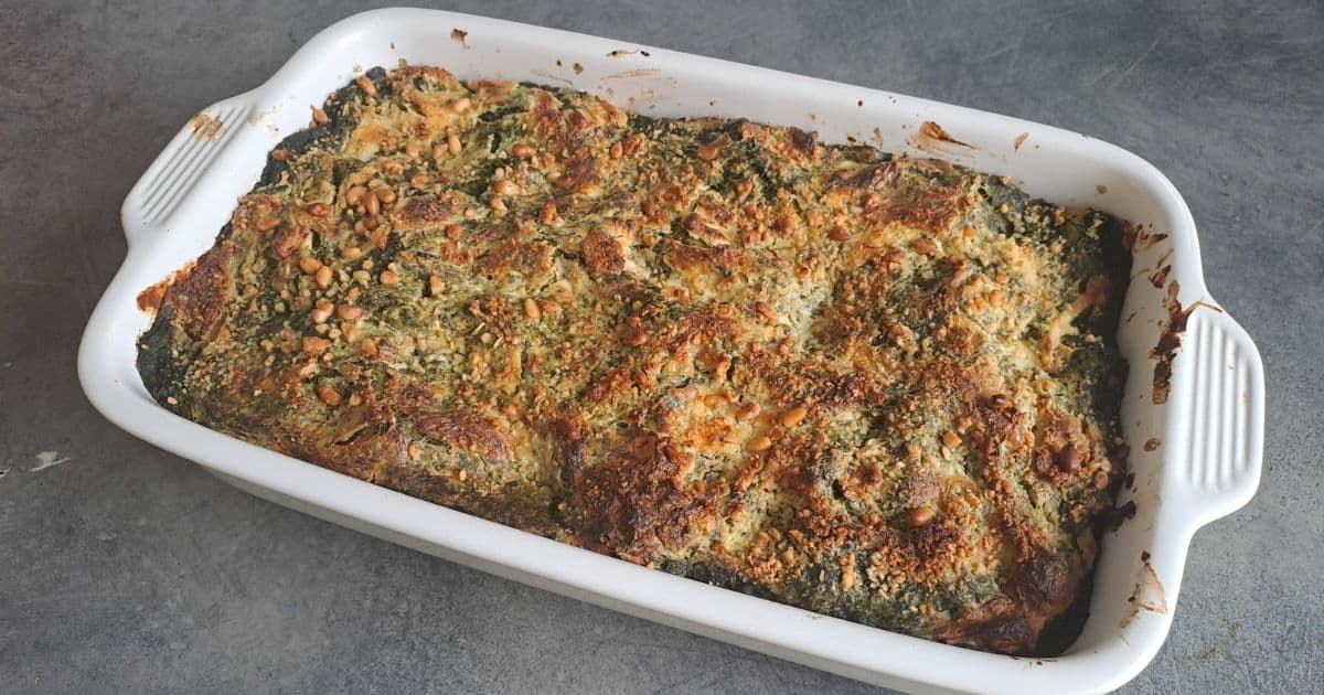 Lasagne so špenátom a kuracím mäsom