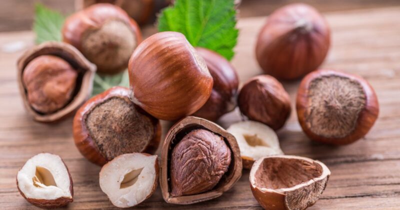 V lískových jádrech najdeme spoustu vitamínů a minerálů, které jsou pro naše zdraví prospěšné.
